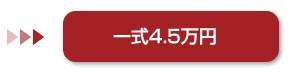 一式4.5万円(税抜)